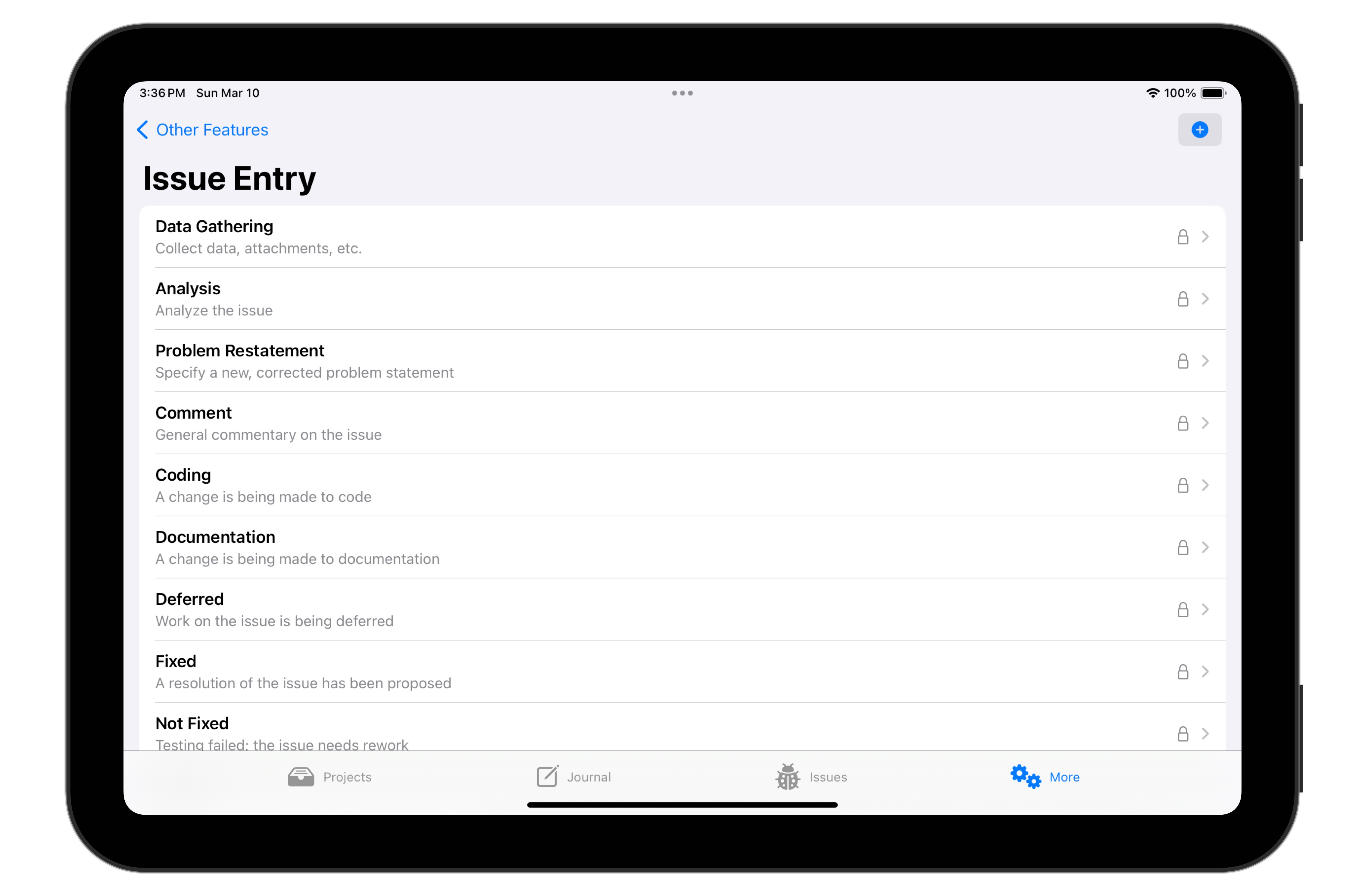 Issue Entry Types